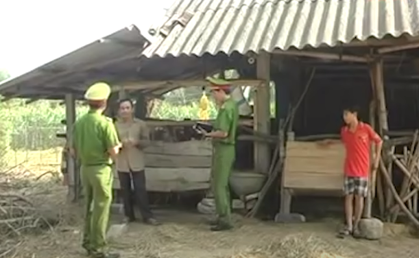 Tình có ông bà ngoại là hàng xóm với gia đình nhà chị Nhiều. Thông tin cho biết, ngày 22/2/2014, có thấy tình xuất hiện ở thôn Thọ Bắc gần nhà bà Nhiều. Lập tức lãnh đạo ban chuyên án đã chỉ đạo xác minh nhanh nguồn tin, kết quả xác định Tình có mặt ở khu vực này sau đó đi đâu thì không ai biết.