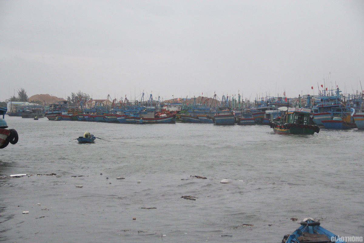 Bao so 5 - Matmo tien sat Binh Dinh: San sang di dan-Hinh-2