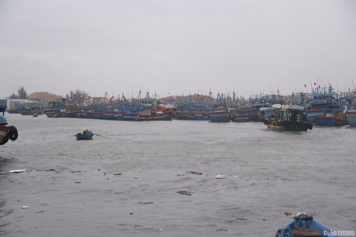 Bao so 5 - Matmo tien sat Binh Dinh: San sang di dan-Hinh-2