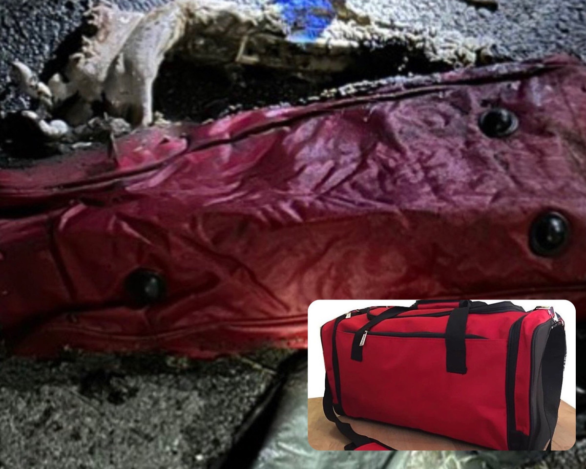 Thông tin bất ngờ vụ phân xác, phần thi thể cháy sém ở Bình Dương - Hình 2 Thong tin bat ngo vu phan xac, phan thi the chay sem o Binh Duong-Hinh-2