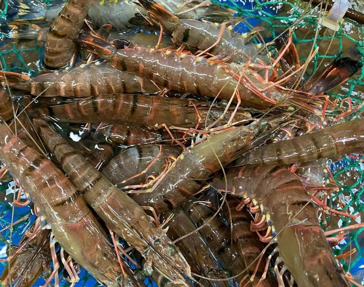 Giá hải sản tăng chóng mặt, thực phẩm giải nhiệt lên ngôi Gia hai san tang chong mat, thuc pham giai nhiet len ngoi