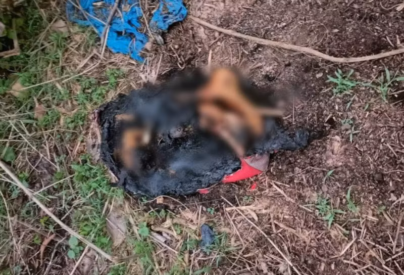 Cong an tinh Binh Duong phat thong bao vu doi chan nguoi bi dot chay