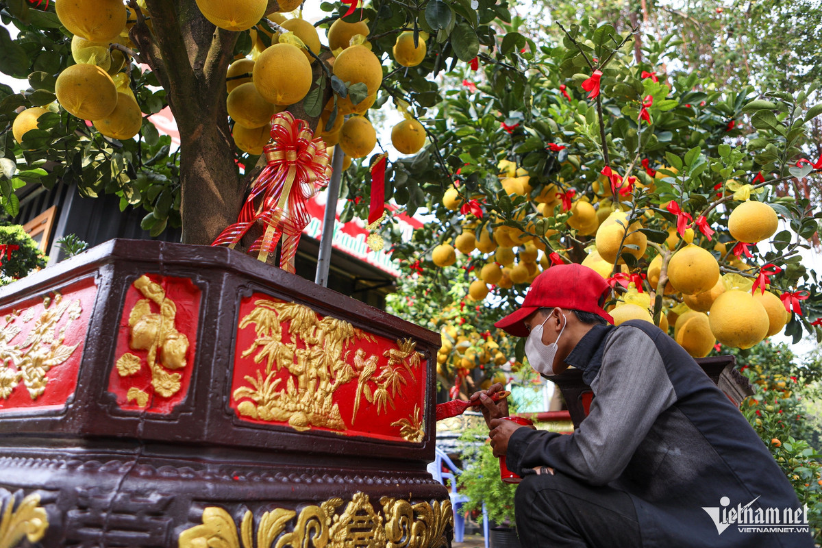 Theo người trong nghề, một cây bưởi đẹp, chuẩn để chưng Tết thì lá phải xanh và dày, trái chín vừa phải, có lộc non... Ngoài ra, phần chậu cũng được các nhà vườn đầu tư trang trí.