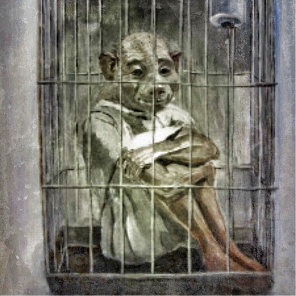 Nhiều người cho rằng những Squallie là sản phẩm của một vài cơ quan nghiên cứu thuộc chính phủ. Rất nhiều tin đồn đề cập đến phòng thí nghiệm bị bỏ hoang nằm đâu đó gần Đại lộ DeSoto và Đường Oil Well.