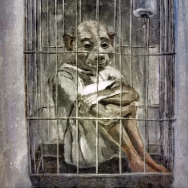 Nhiều người cho rằng những Squallie là sản phẩm của một vài cơ quan nghiên cứu thuộc chính phủ. Rất nhiều tin đồn đề cập đến phòng thí nghiệm bị bỏ hoang nằm đâu đó gần Đại lộ DeSoto và Đường Oil Well.