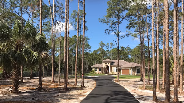 Một số người tin rằng Squallie có nguồn gốc từ giao phối cận huyết theo thời gian. Từ đó, họ mắc phải một số căn bệnh gây biến dạng.