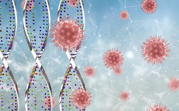 Trước đó, các nhà khoa học của Đại học Oxford đã phát hiện ra một loại gen tử thần có tên gọi LZTF1, làm tăng gấp đôi nguy cơ suy phổi và tử vong do Covid-19.