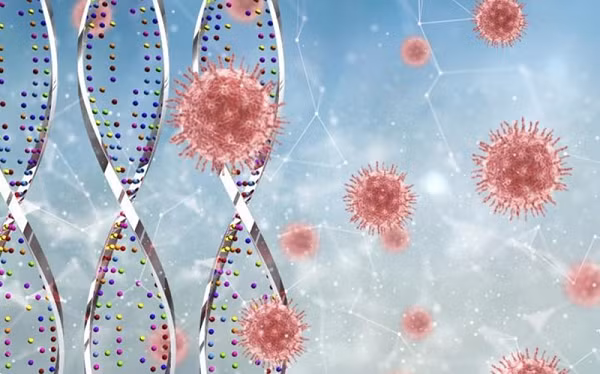 Trước đó, các nhà khoa học của Đại học Oxford đã phát hiện ra một loại gen tử thần có tên gọi LZTF1, làm tăng gấp đôi nguy cơ suy phổi và tử vong do Covid-19.