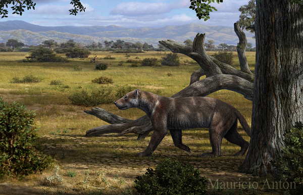 Amphicyonidae, thường được gọi là "những con chó gấu", là một loài ăn thịt lớn thuộc phân bộ dạng chó đã tuyệt chủng (có nghĩa là "động vật giống loài chó ").