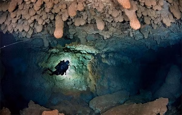 Khi lặn xuống nước lần thứ 2, đến độ sâu khoảng 90 mét, các thợ lặn thất kinh khi thực sự phát hiện một bóng đen đang bơi trong góc đá.