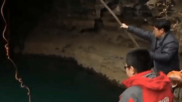 Ở độ sâu khoảng 20 mét dưới nước, các thợ lặn tìm thấy một đàn cá nhỏ. Điều này chứng tỏ môi trường sinh thái trong hồ vẫn phát triển bình thường.