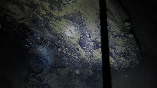 Họ đã phát hiện ra một một dòng sông bí ẩn ở bên dưới lớp băng, với chiều dài khoảng 10,5 km, rộng hơn 274 m và sâu 244 m. Theo mô tả, nơi đây giống như Cảng Sydney nhưng ở dưới 600 m băng và tuyết.