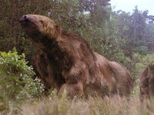 Quái thú khổng lồ Megatherium là một trong những quái thú cổ đại sở hữu sức mạnh đáng sợ sống trên Trái đất cách đây 2 triệu đến 8.000 năm về trước.