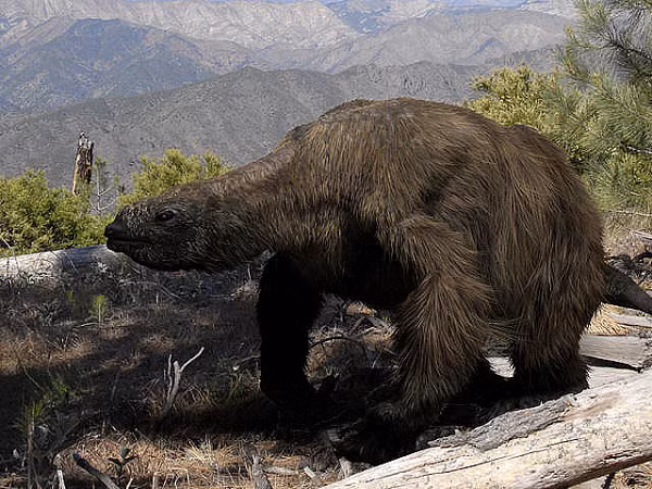 Cái tên Megatherium của chúng có nghĩa là "thú lớn", hiện họ hàng gần gũi nhất còn sinh tồn của Megatherium chính là lười cây.