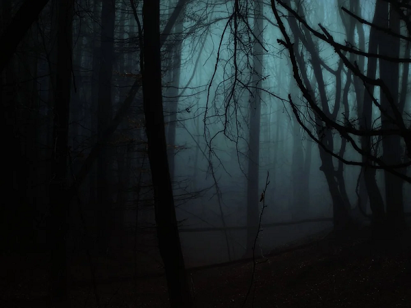 Hàng loạt nhiệm vụ tìm kiếm, cứu nạn được thực hiện ở đây mỗi năm, nhưng hầu hết thường có một kết quả chung là: Không có dấu vết được phát hiện ra.