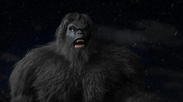 Cho đến nay, tung tích của chiếc Douglas C-54D cũng số phận của 44 nạn nhân xấu số vẫn còn là bí ẩn chưa một lần được giải đáp của Không quân Mỹ.