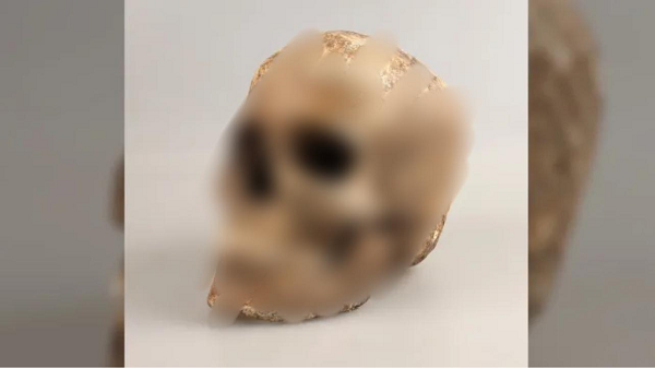 Cụ thể, trong ngôi mộ bao gồm 5 chiếc vòng tay bằng đồng, 2 chiếc hoa tai bằng vàng và 1 chiếc vòng cổ 3 sợi với hơn 400 hạt hổ phách. Rõ ràng bà rất giàu có và được chôn cất với sự trân trọng.