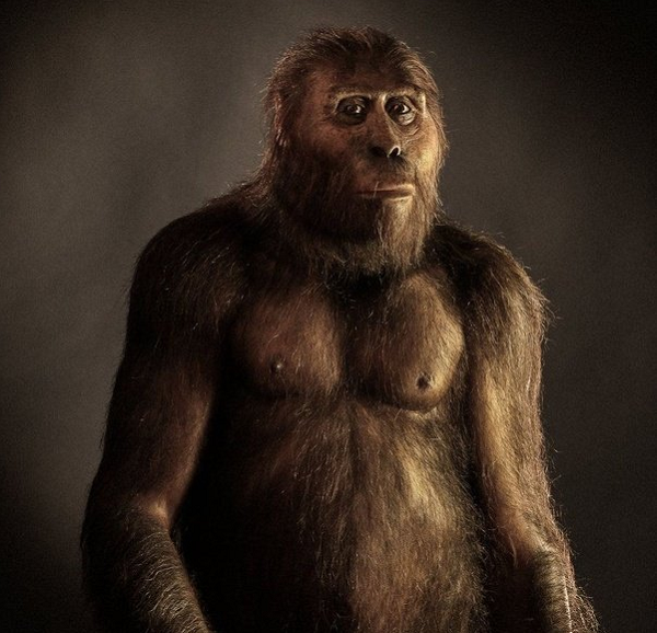 Khu vực này có rất nhiều hài cốt, có thể phản ánh sự đa dạng của các dòng người vượn phương Nam cũng như các loài mới hơn sau này.