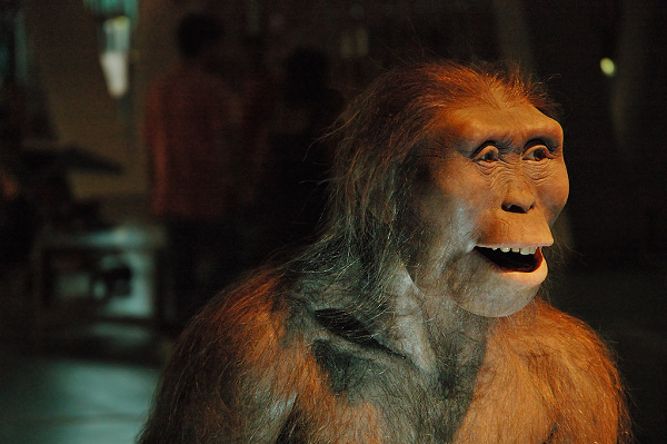 Năm 1974, các nhà khoa học đã tìm ra ra bộ xương hóa thạch còn khá nguyên vẹn có niên đại 3,2 triệu năm (theo phương pháp xác định bằng carbon) của một người vượn cổ vùng Afar, đông bắc Ethiopia.