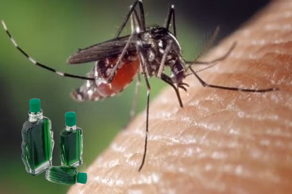 Chúng ta cũng có thể đuổi muỗi bằng dầu gió. Bôi dầu trực tiếp lên da, mùi hương của dầu gió sẽ làm muỗi tránh xa bạn. Nếu không muốn bôi trực tiếp lên da, hãy mở nắp và để lọ dầu gió ở góc thoáng.