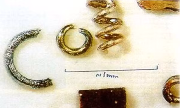 Có vẻ như các hiện vật hình cuộn dây được hoàn thiện theo tỷ lệ Golden Ratio, cho thấy sự tin cậy cho rằng chúng được tạo ra một cách thông minh bởi những sinh vật thông minh về mặt toán học. Dù đã có hàng nghìn năm tuổi nhưng các hiện vật này đều là thành phần nguồn gốc công nghệ thậm chí còn cao hơn trình độ công nghệ hiện tại của nhân loại.