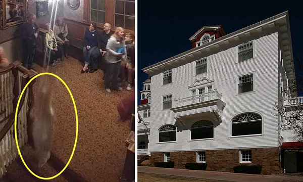 Tại Stanley Hotel (Colorado, Mỹ) rất nhiều người ở đây đã phàn nàn về các âm thanh khó chịu, kỳ lạ. Ngay cả một số nhân viên ở đây cũng cho biết đã nghe thấy tiếng ai đó chơi piano trong phòng khiêu vũ lớn trong khi thực tế không ai ở đó.