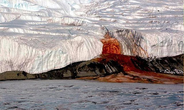 Theo Hiệp hội Khí quyển và Đại dương Quốc gia Pháp, chỉ trong tháng này, mức CO2 trong khí quyển hiện cao hơn 50% so với mức thời kỳ tiền công nghiệp - mức cao nhất trong hàng triệu năm.