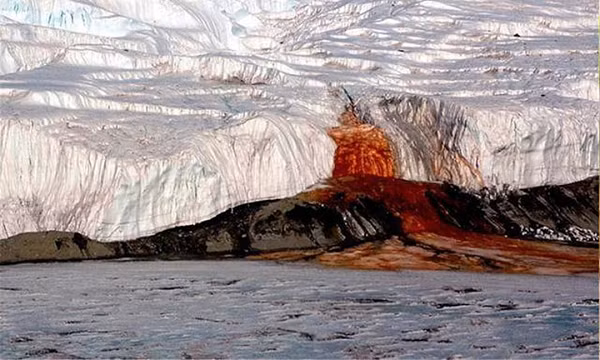 Theo Hiệp hội Khí quyển và Đại dương Quốc gia Pháp, chỉ trong tháng này, mức CO2 trong khí quyển hiện cao hơn 50% so với mức thời kỳ tiền công nghiệp - mức cao nhất trong hàng triệu năm.