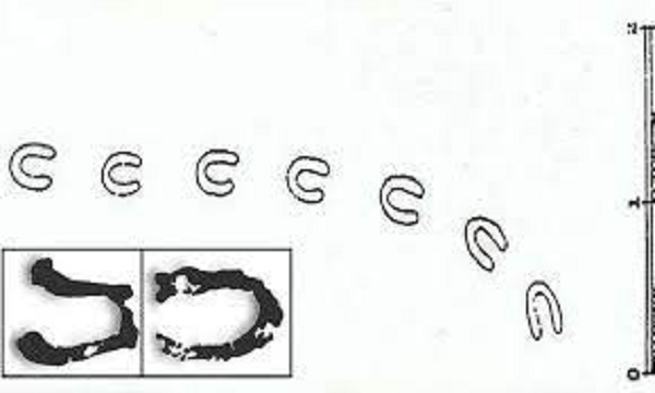 Sáng 9/2/1855, các khu vực ở Đông Devon đều bị phủ kín bởi một màu trắng của tuyết. Cư dân tại khu vực này đã vô cùng kinh ngạc khi phát hiện ra những dấu chân xuất hiện theo đường thẳng về một hướng nhất định trên tuyết trắng.