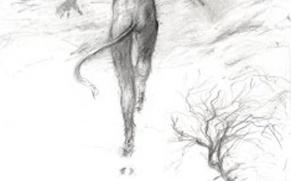 Tất cả dấu vết được báo cáo có tổng chiều dài hơn 160 km. Đặc biệt, dấu chân xuất hiện dày đặc trước cửa nhà của người dân. Dường như có ai đó đã "lởn vởn" rình rập quanh các ngôi nhà. Một số dấu chân dừng lại ở những nơi hoang vu rồi biến mất một cách huyền bí.