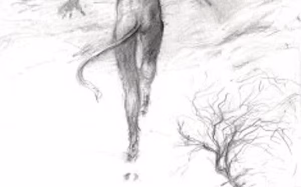 Tất cả dấu vết được báo cáo có tổng chiều dài hơn 160 km. Đặc biệt, dấu chân xuất hiện dày đặc trước cửa nhà của người dân. Dường như có ai đó đã "lởn vởn" rình rập quanh các ngôi nhà. Một số dấu chân dừng lại ở những nơi hoang vu rồi biến mất một cách huyền bí.