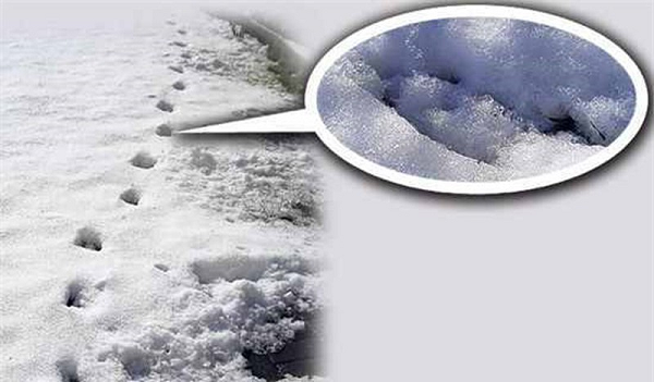 Tuy nhiên, giả thuyết này vẫn bị nhiều người phản đối bởi khinh khí cầu khó có thể đi theo hành trình ngẫu nhiên như vậy, dây neo cũng rất dễ bị mắc kẹt trên cây hoặc vướng các chướng ngại vật khác.