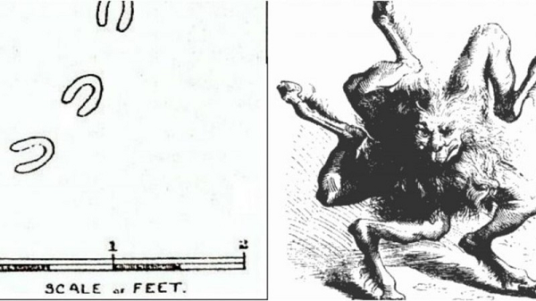 Mỗi vết chân dài 10 cm, rộng khoảng 7,5 cm và cách nhau 20-40 cm, xuất hiện tại 30 địa điểm trên khắp hạt Devon, Anh. Những vết này tạo thành một đường đi liền mạch, băng qua cả những mái nhà, đống cỏ khô, cánh đồng, dòng sông, các bức tường cao và thậm chí có cả trong những đường ống hẹp chỉ khoảng 10 cm.