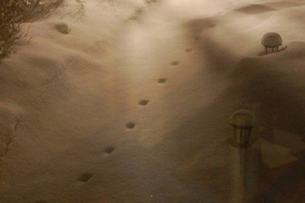 Tiểu thuyết gia người Anh Geoffrey Household nêu quan điểm khác, liên quan đến một khinh khí cầu thử nghiệm bị thả nhầm từ xưởng đóng tàu Devon. Theo ông, hai chiếc cùm gắn vào dây neo của khinh khí cầu liên tục chạm xuống nền tuyết đã tạo ra dấu vết.