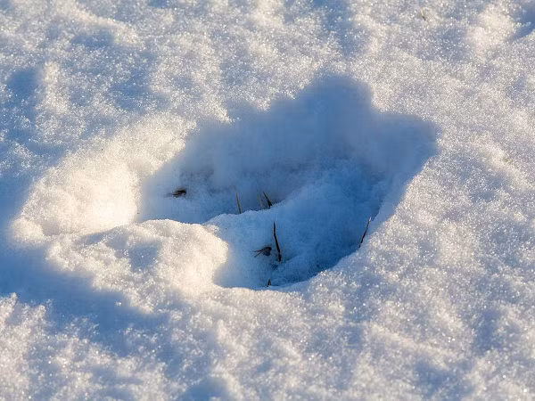 Một sự kiện khó lý giải khác về "dấu chân của quỷ" đã diễn ra vào năm 1945 gần Everberg, Bỉ. Vào ngày 10 tháng 1 năm đó, một chuỗi các dấu chân được tìm thấy trên tuyết tại một ngọn đồi phía sau Chateau de Morveau.