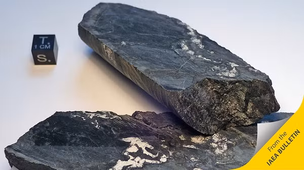 Tuy nhiên chúng ta không thể giải thích được cụ thể cách vận hành của lò phản ứng hạt nhân này, hay ai đã tạo ra nó và nó được sinh ra với mục đích gì. Mọi thứ dường như đã vượt quá tầm hiểu biết của chúng ta.