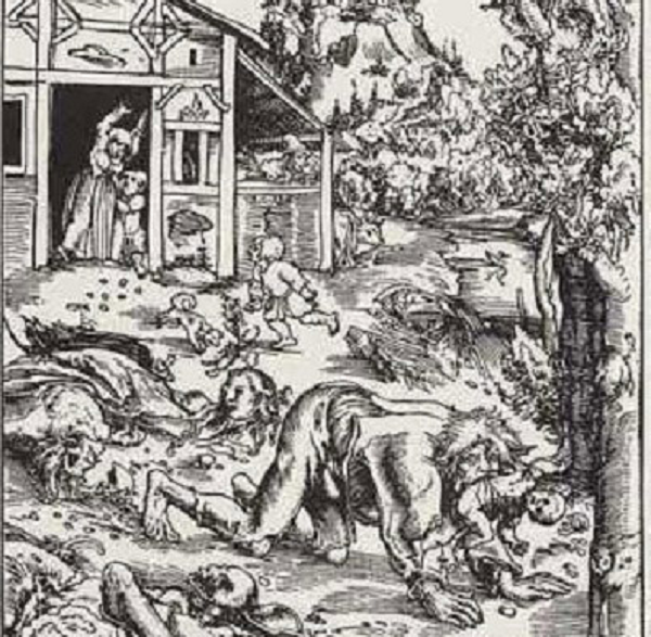 Khi con sói bị giết, người dân nơi đây đã trang điểm cho cái xác để tưởng nhớ vị thị trưởng. Xác con sói được bày trong quảng trường thị trấn, sau đó thì được chuyển vào bảo tàng.