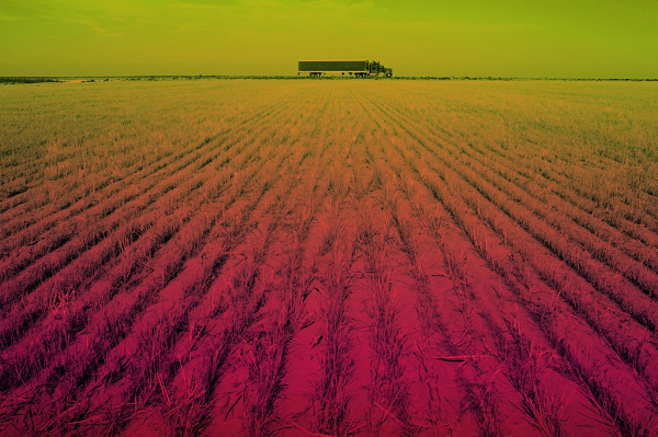 Theo các nhà chức trách địa phương, một số người đã không thể quay trở về nhà do lửa lan rộng. Những ngọn lửa khổng lồ quét qua Tây Ban Nha đã thiêu rụi 20.000 hectare đất.