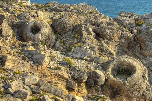 Các điều kiện địa chất độc đáo tại Cerro Chato cùng nhiều hoá thạch là những bằng chứng giúp làm sáng tỏ một trong những sự kiện tuyệt chủng lớn nhất trong lịch sử Trái Đất .