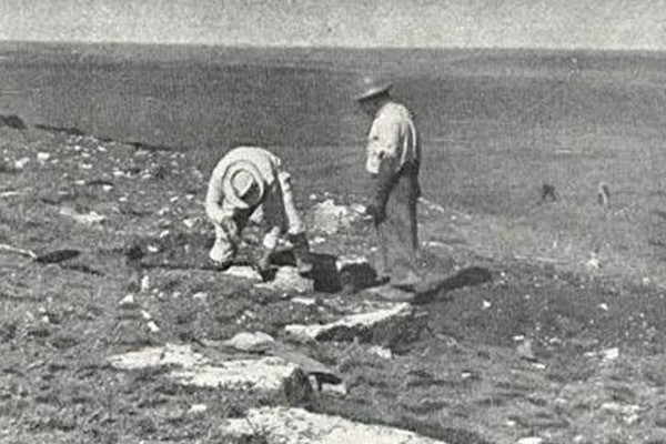 "Trong nhiều thập kỷ, vị trí đại lý này là một bí ẩn không có lời giải đáp. Vì tính quan trọng của địa điểm, chúng tôi đã tiến hành một cuộc truy tìm để tìm lại kho báu hoá thạch", Joseline Manfroi, nhà nghiên cứu tại Đại học Vale do Taquari ở Rio Grande do Sul cho biết.