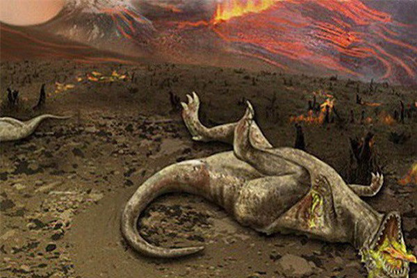 Khí hậu ấm lên trong suốt thời kỳ Permi, và vào cuối thời kỳ này, điều kiện khô nóng diễn ra trên diện rộng đã gây ra cuộc khủng hoảng đối với sinh vật biển và trên cạn trong kỷ Permi.