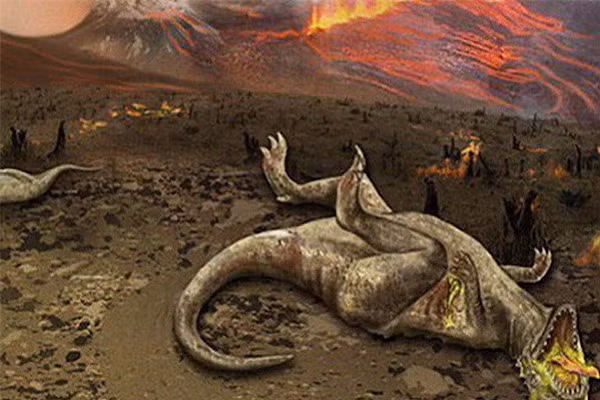 Khí hậu ấm lên trong suốt thời kỳ Permi, và vào cuối thời kỳ này, điều kiện khô nóng diễn ra trên diện rộng đã gây ra cuộc khủng hoảng đối với sinh vật biển và trên cạn trong kỷ Permi.