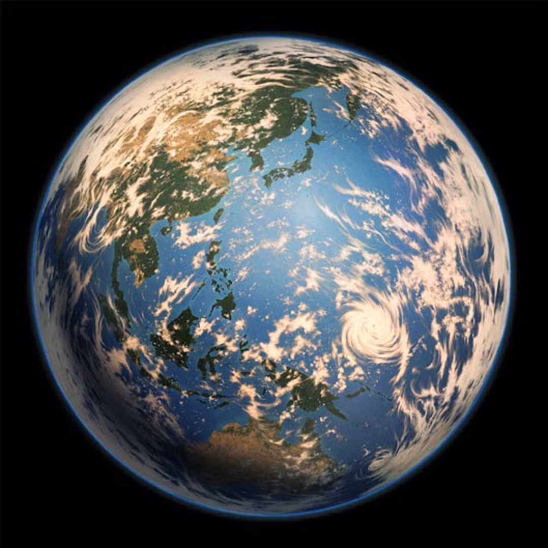 Thực vật trên cạn rất đa dạng trong suốt Kỷ Permi, và côn trùng phát triển nhanh chóng khi chúng theo các loài thực vật vào môi trường sống mới.