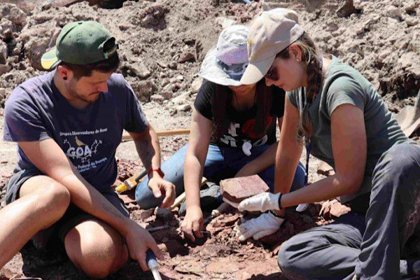 Năm 1951, các nhà cổ sinh vật học lần đầu tiên phát hiện ra Cerro Chato - chứa kho báu hoá thạch họ đã rất phấn khích trước những mâu vật được bảo quản đặc biệt tốt. 