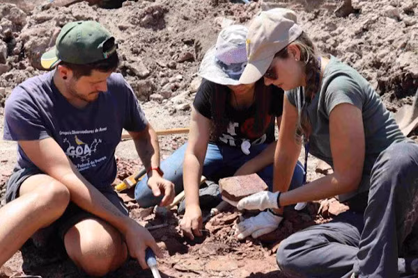 Năm 1951, các nhà cổ sinh vật học lần đầu tiên phát hiện ra Cerro Chato - chứa kho báu hoá thạch họ đã rất phấn khích trước những mâu vật được bảo quản đặc biệt tốt. 