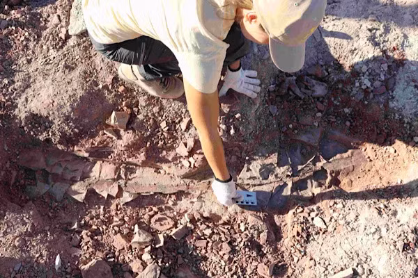 Cerro Chato nằm gần biên giới của Brazil với Uruguay ở phía nam Rio Grande do Sul. Tuy nhiên các nhà khoa học khi đó đã không ghi lại được chính xác toạ độ địa lý của địa điểm quan trọng này nên nhiều năm sau không ai có thể quay trở lại đó để tiếp tục nghiên cứu.