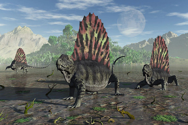 Thời kỳ Permian bắt đầu 298.900.000 năm trước và kết thúc 252.200.000 năm trước, kéo dài từ kết thúc các giai đoạn Carbon để bắt đầu của thời kỳ Trias .