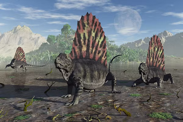 Thời kỳ Permian bắt đầu 298.900.000 năm trước và kết thúc 252.200.000 năm trước, kéo dài từ kết thúc các giai đoạn Carbon để bắt đầu của thời kỳ Trias .