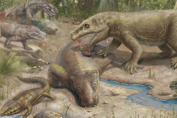 Sự thay đổi khí hậu ấn tượng này có thể được kích hoạt một phần bởi sự tập hợp các lục địa nhỏ hơn vào siêu lục địa Pangea . Phần lớn diện tích đất liền của Trái đất được nhập vào Pangea, được bao quanh bởi một đại dương thế giới bao la có tên là Panthalassa.