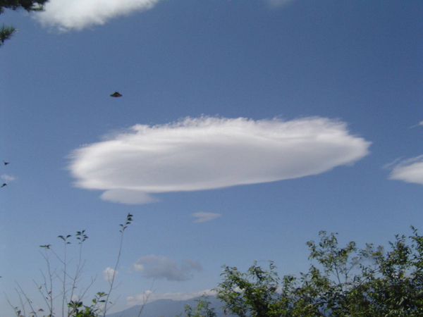 Không những thế, tất cả các tài liệu đã được phân tích bằng cách sử dụng phần mềm đặc biệt để đảm bảo chúng không phải là giả mạo.